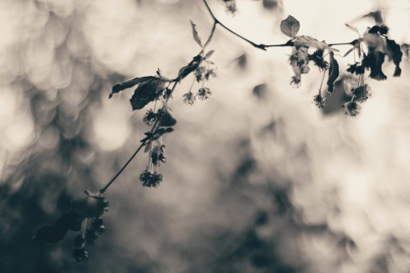 Natur