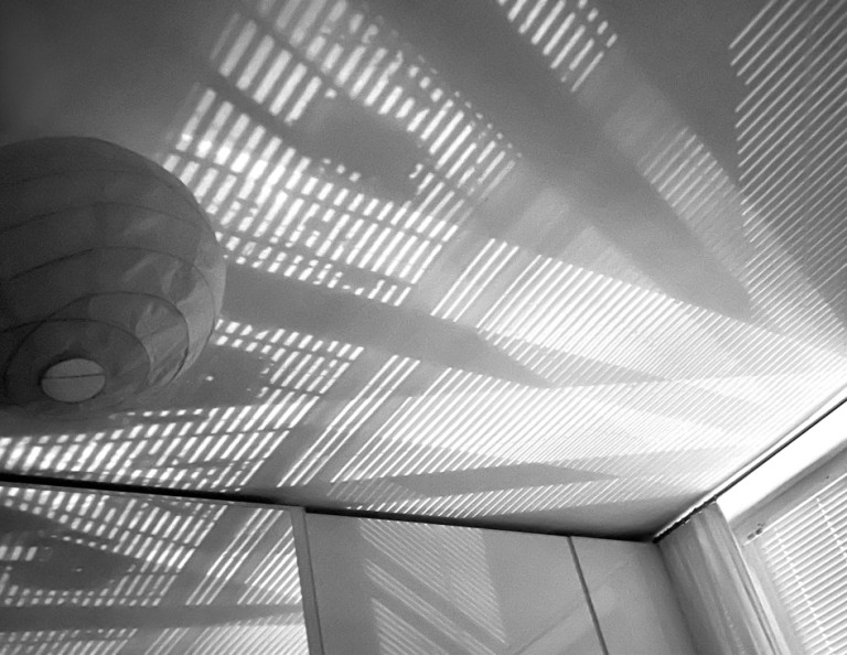 Brigitte Krämer.jpg